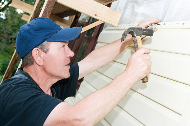 Best Vinyl Siding Installation  in Stacy, MN